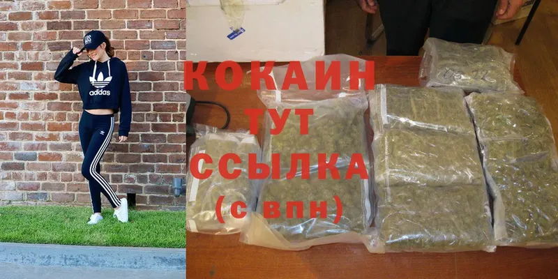 Cocaine Боливия  Калининец 