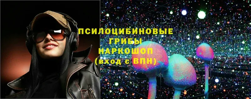 Псилоцибиновые грибы мицелий  Калининец 